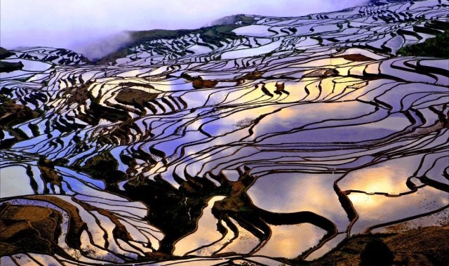  谢菲尔德联虽败犹荣面对领头羊展现顽强斗志